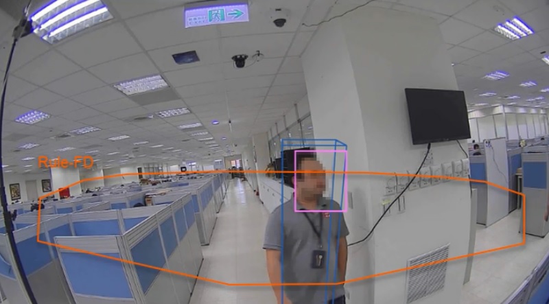 Face detection and recognition